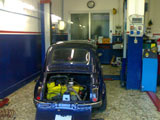 fiat 500 amatore